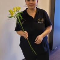 Zimmerreinigung-Cleaner