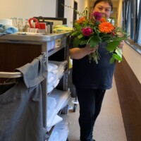 VIP-Cleaner